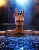 Анкета проститутки Алиса - метро Академический, возраст - 29